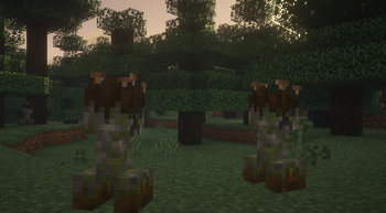 Creeper Overhaul