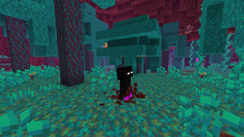 Spawn Animations